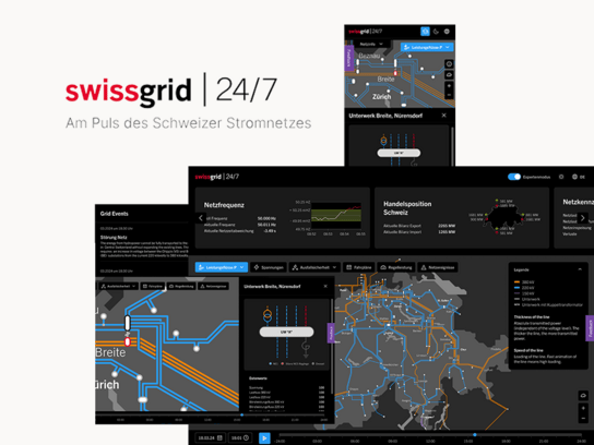 Swissgrid 24/7 Daten und Visualisierungsplattform